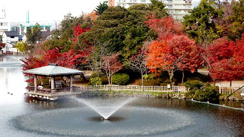 高岡古城公園の四季 秋の紅葉 冬の公園